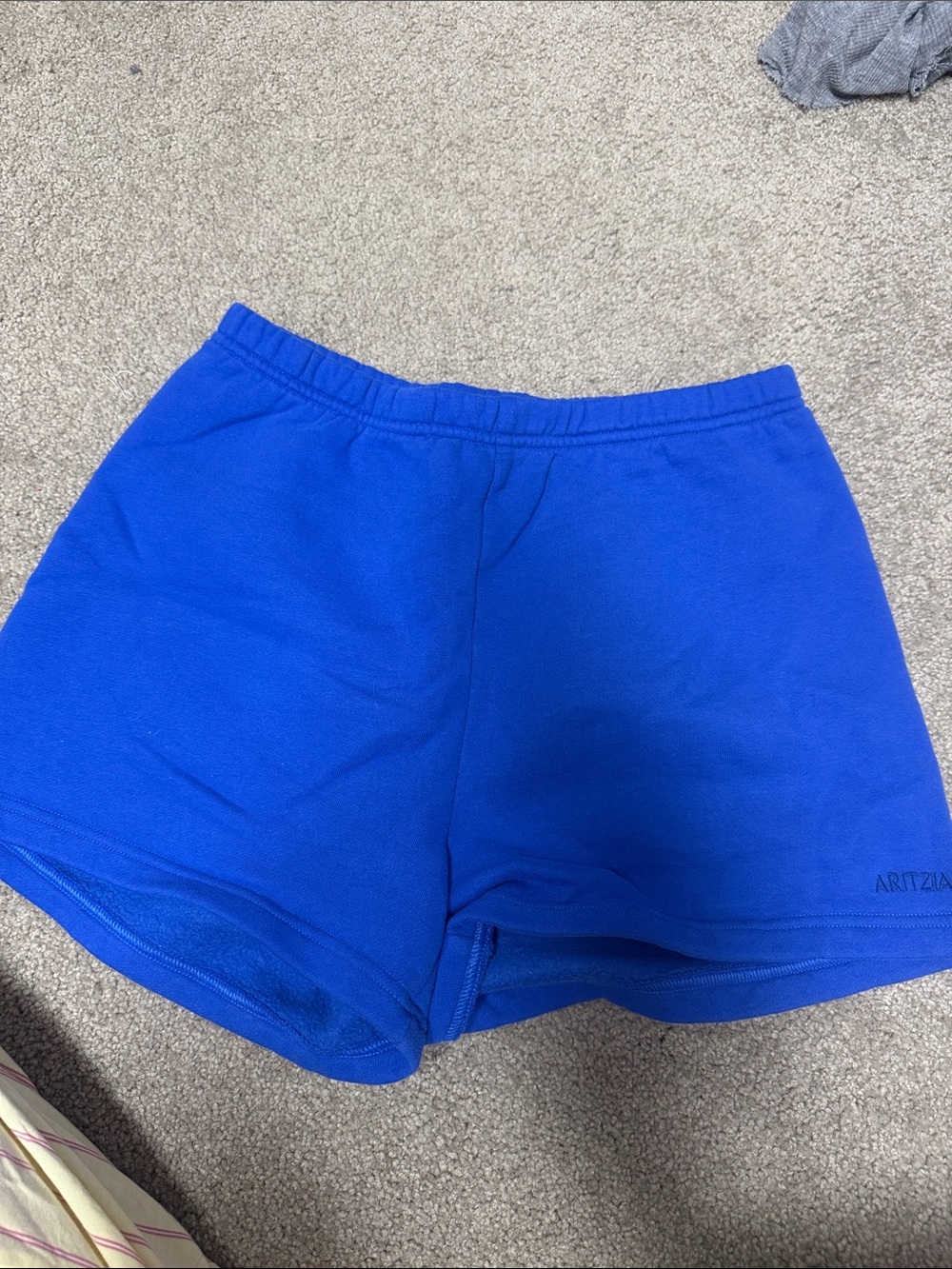 Aritzia Royal Blue Athletic Lounge Shorts